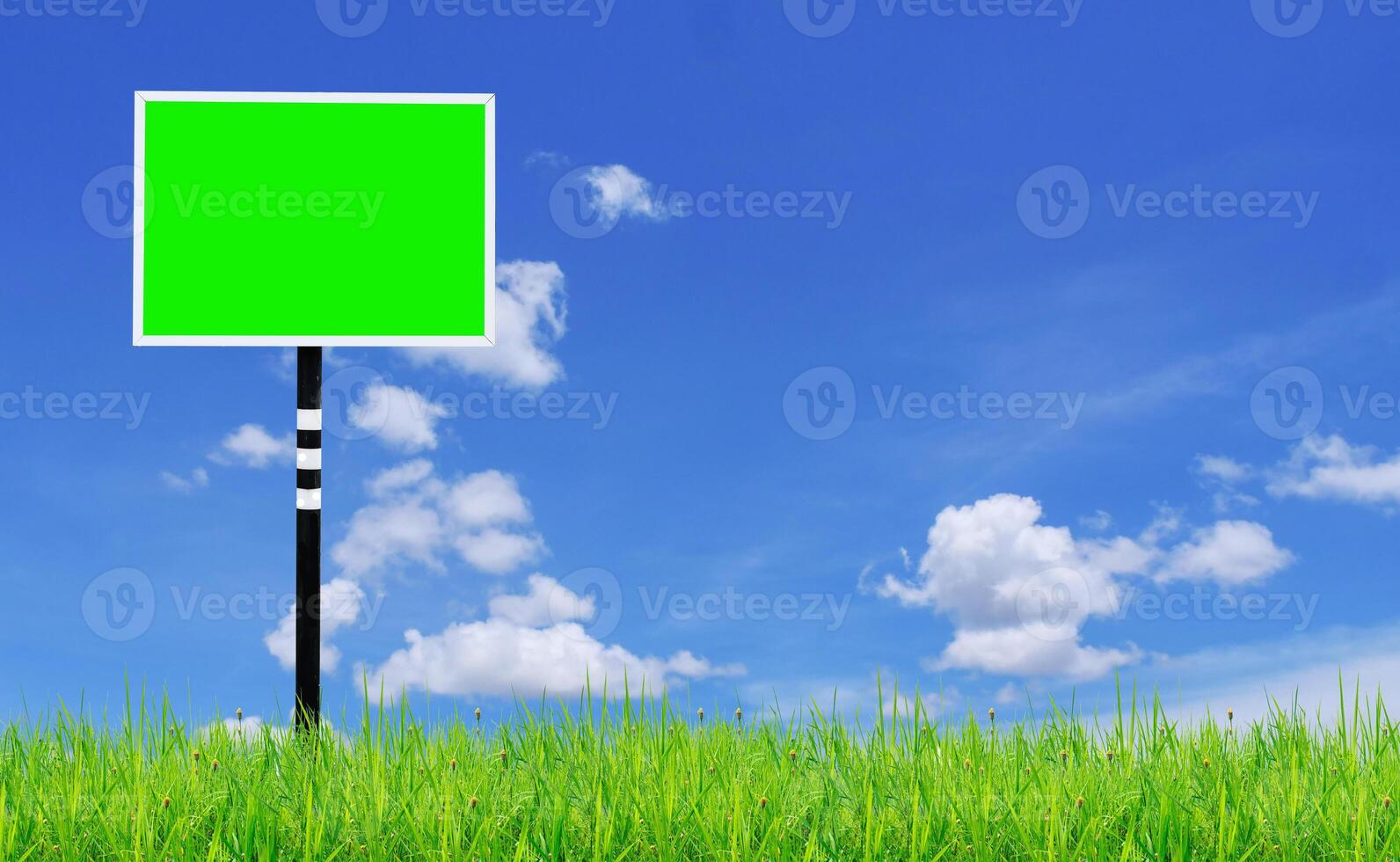 Blank Green Billboard in a Grassy Field with Blue Sky and White Clouds in the Background photo