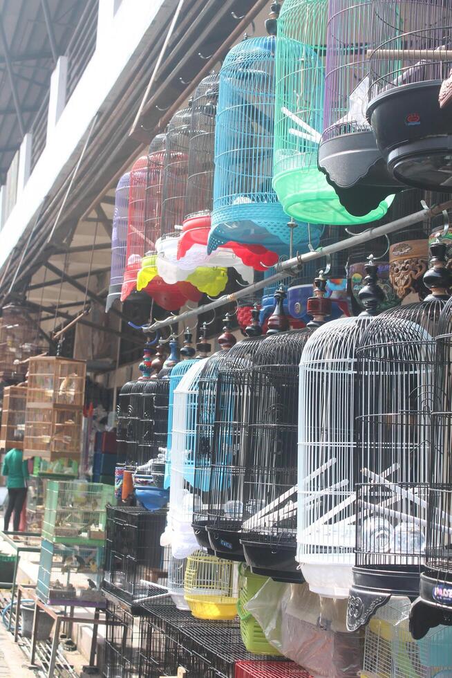 bird cages in the traditional Indonesian animal market photo