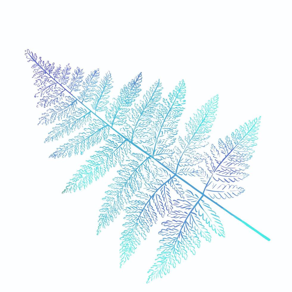 Watercolor blue sprig of fern. Tropical leaf. Forest plants, botany. vector