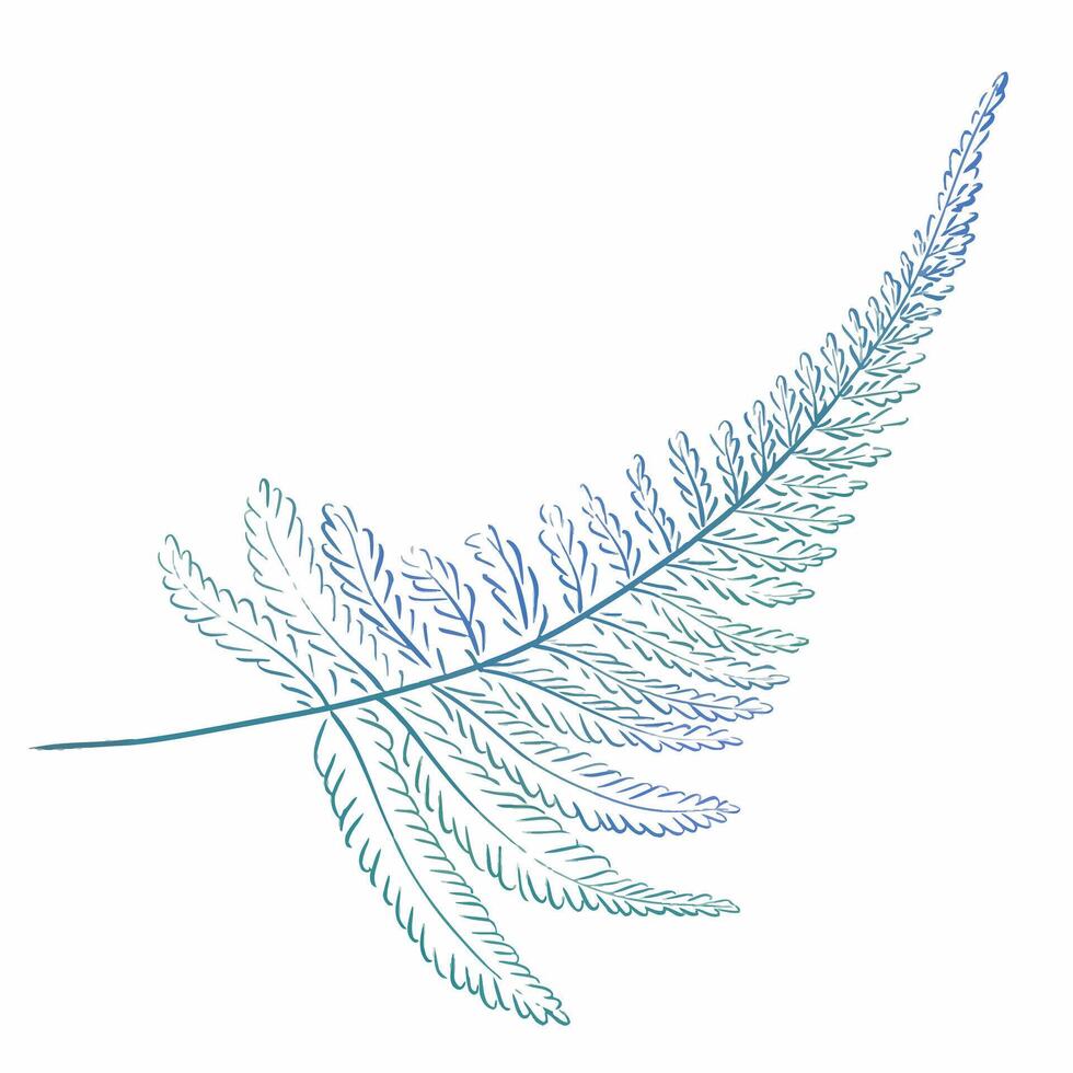 Watercolor blue sprig of fern. Tropical leaf. Forest plants, botany for design. vector
