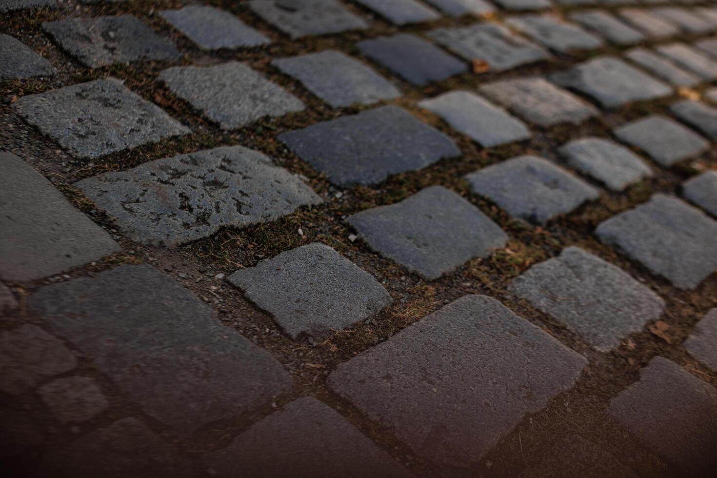 Textured stones create a charming walkway photo