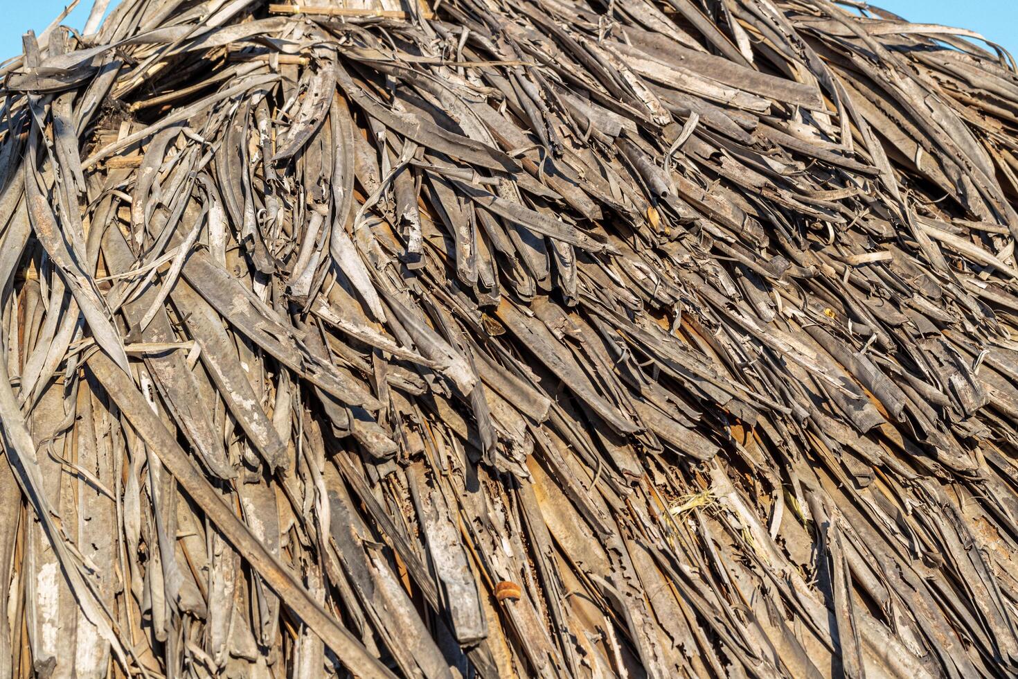 The roof texture is made of woven coconut leaves photo