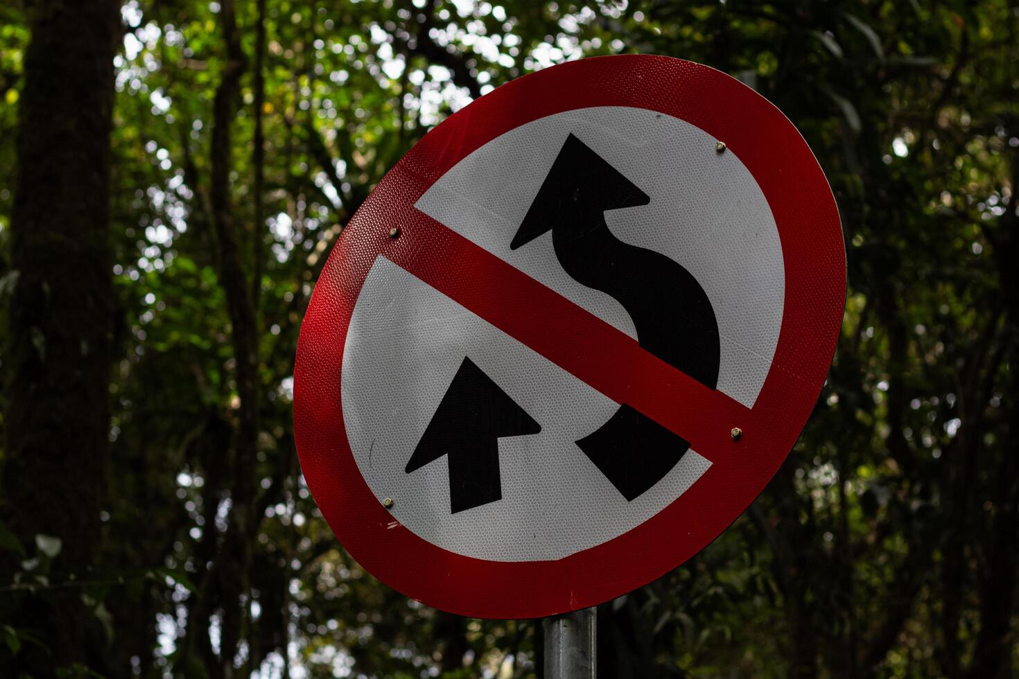 The winding road sign is made of metal and is red and white in color. photo