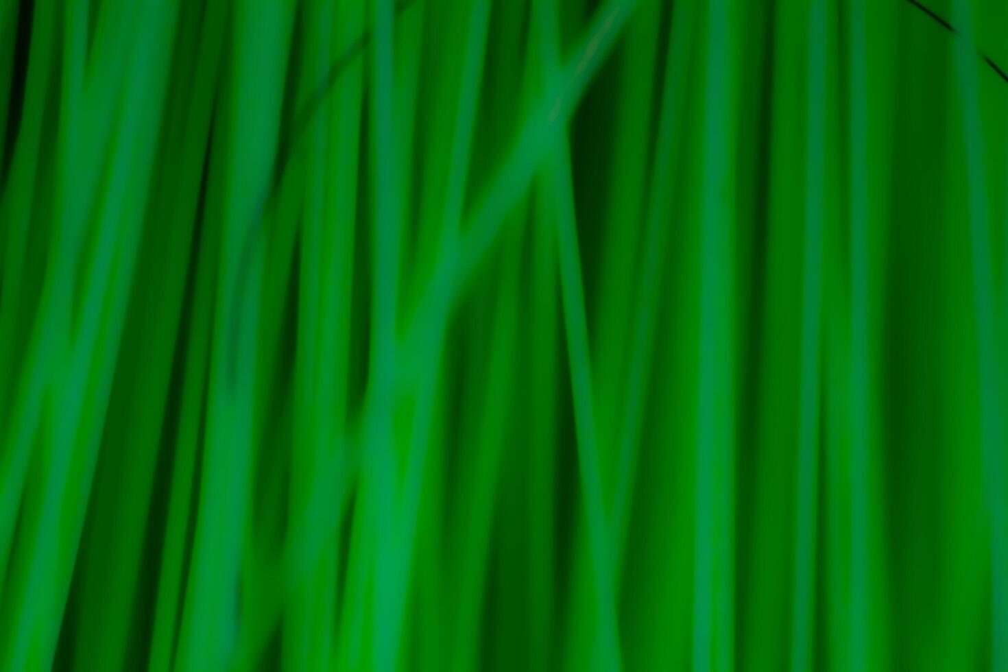 Abstract background texture plastic detail green line pattern with noise photo