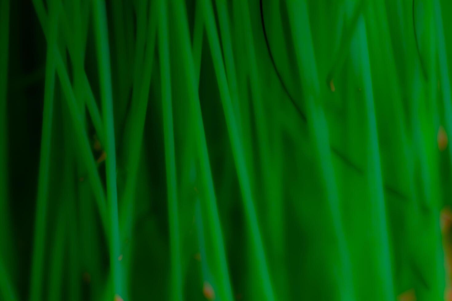 Abstract background texture plastic detail green line pattern with noise photo