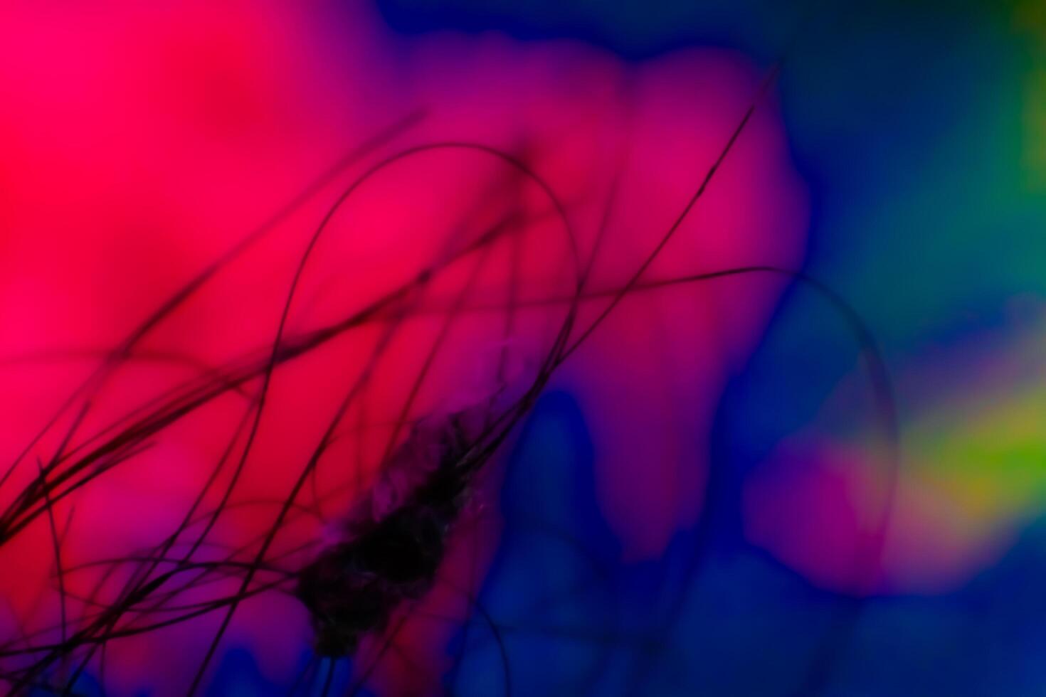 Abstract background texture plastic detail red and blue line pattern with noise photo