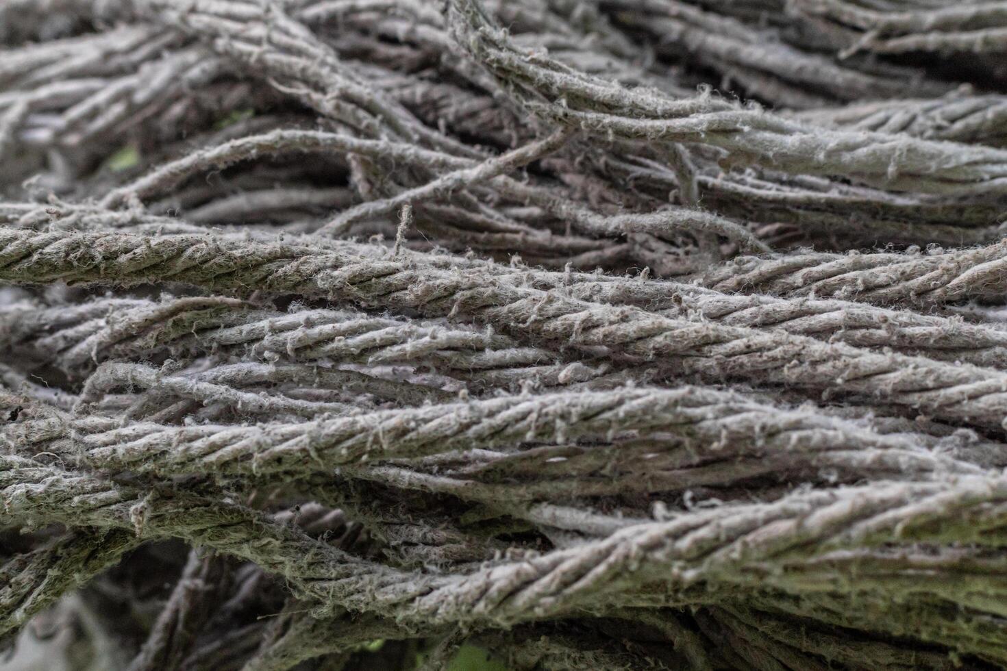 texture of mop cloth close up, abstract background mopping the floor photo