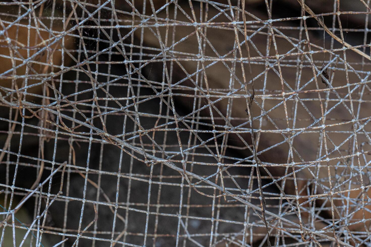 Rusty and worn Steel Grid fence background texture photo