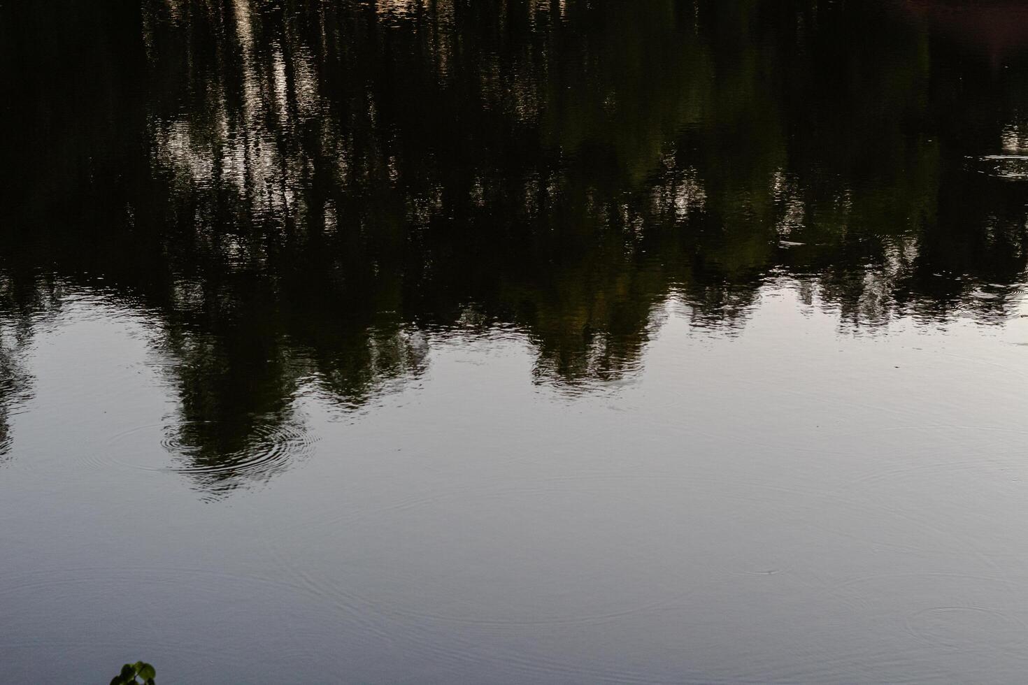 Reflection in the water with reflection of the sky and trees photo