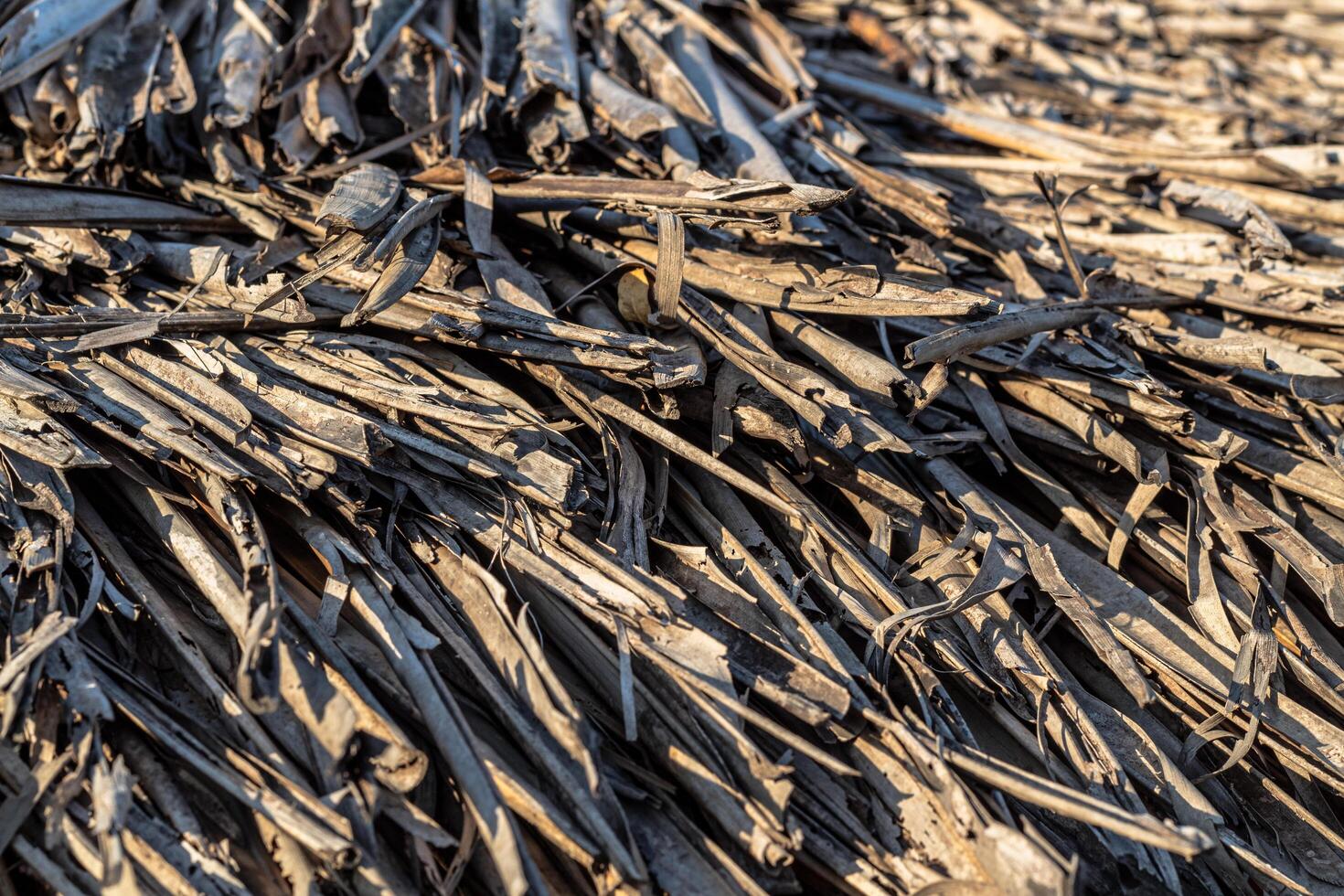 The roof texture is made of woven coconut leaves photo