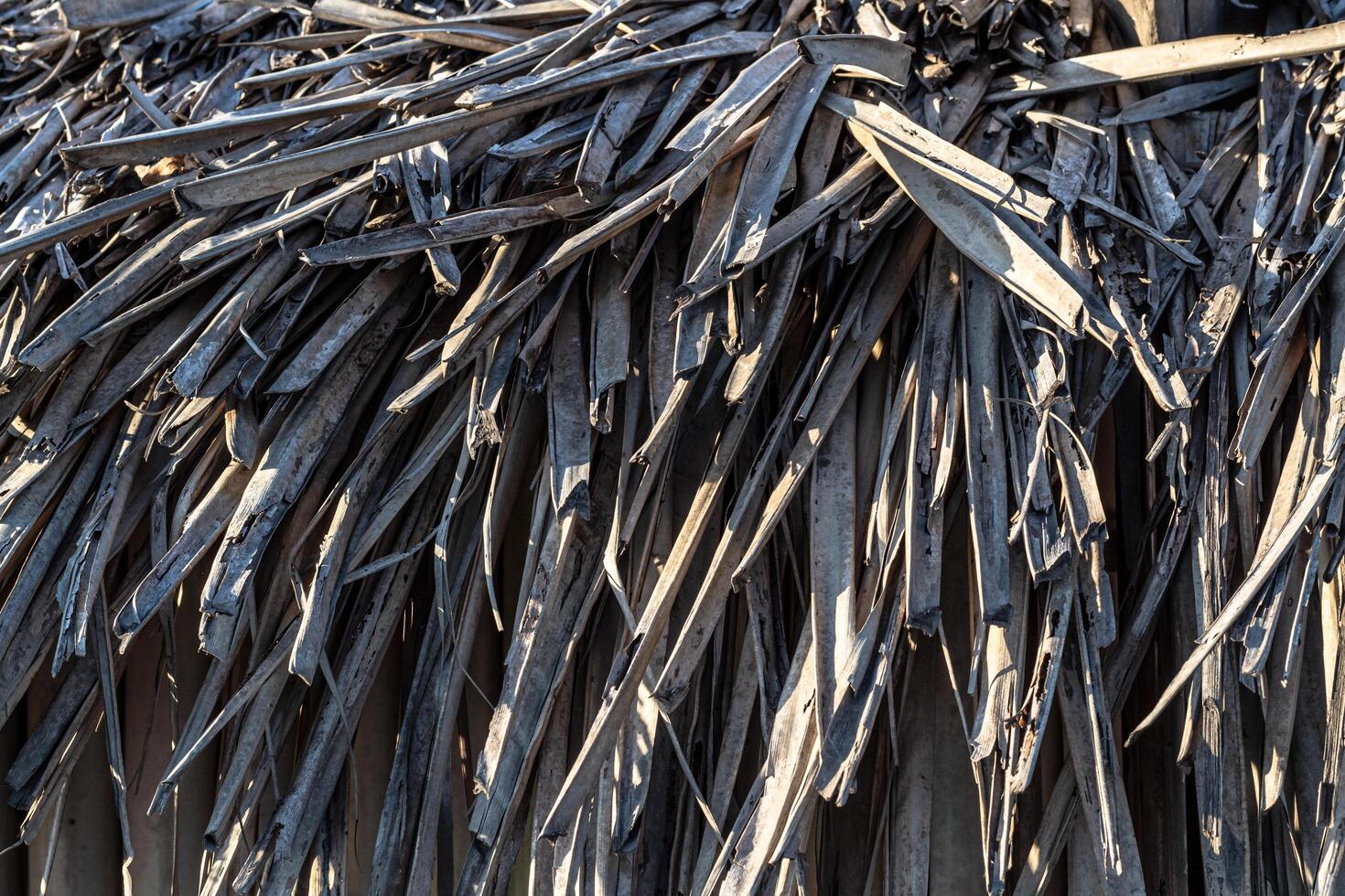 The roof texture is made of woven coconut leaves photo
