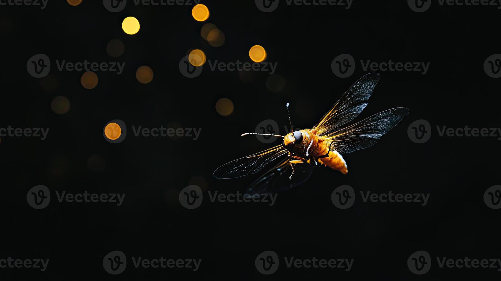Firefly isolated on black background photo
