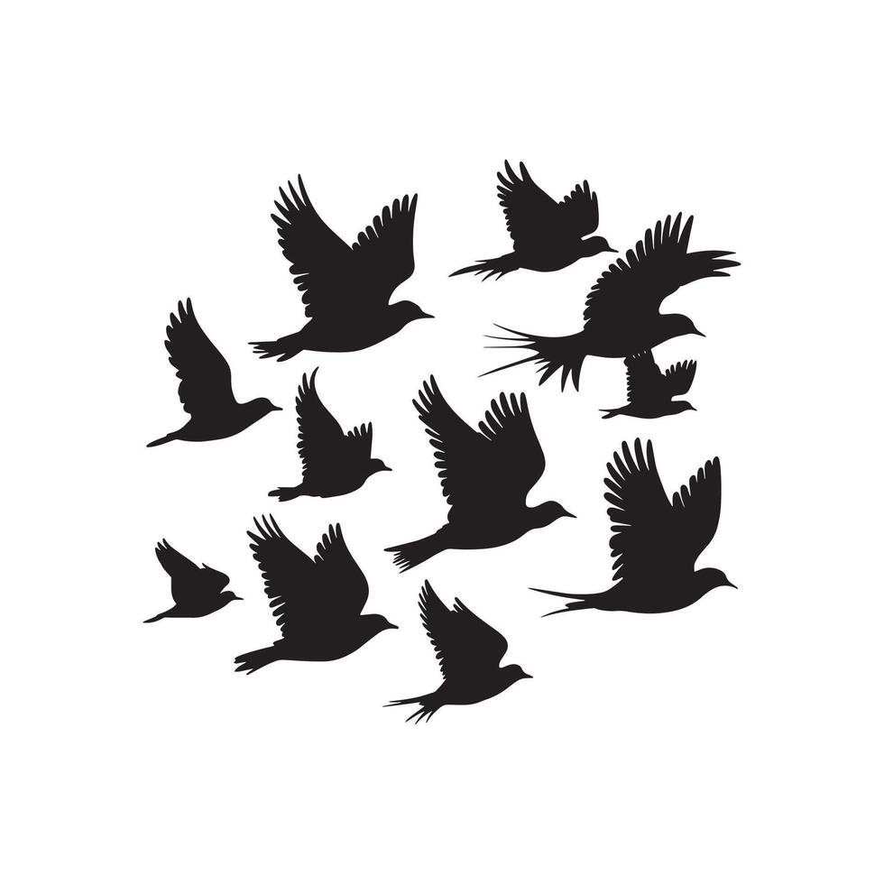 Birds silhouettes collection vector