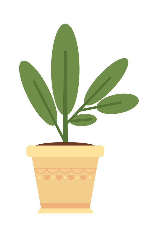 A potted plant on a white background vector