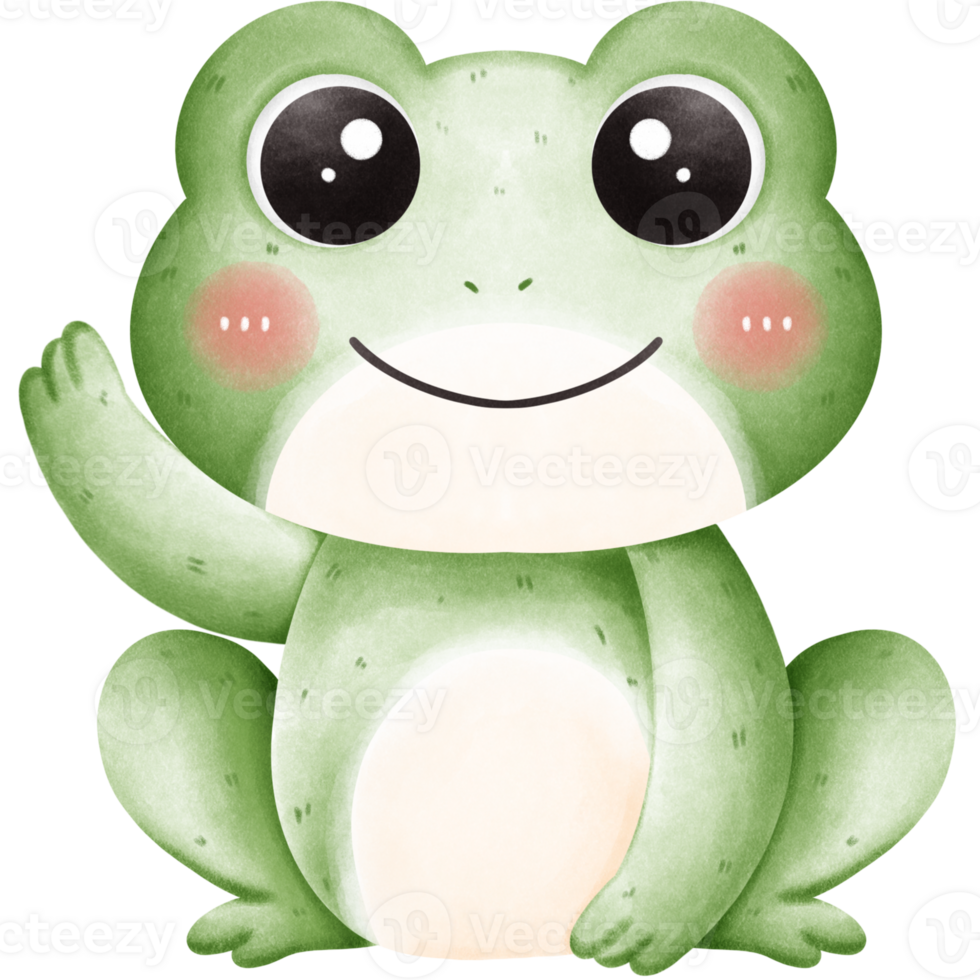 Amphibians such as frogs png