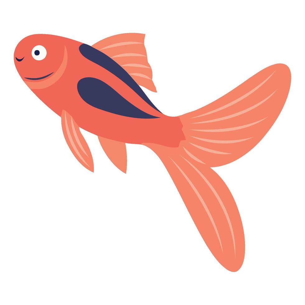 Goldfish fish illustration vector