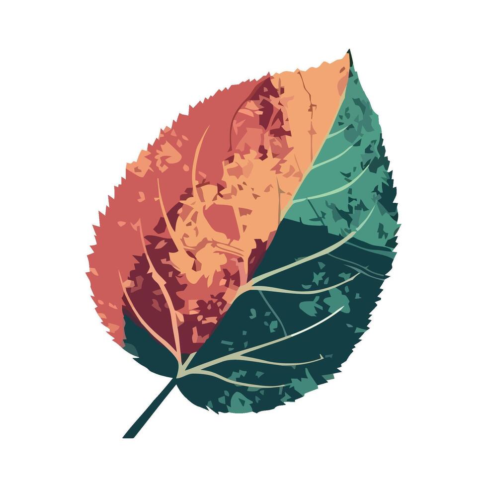 A leaf with a green, orange and red color scheme vector