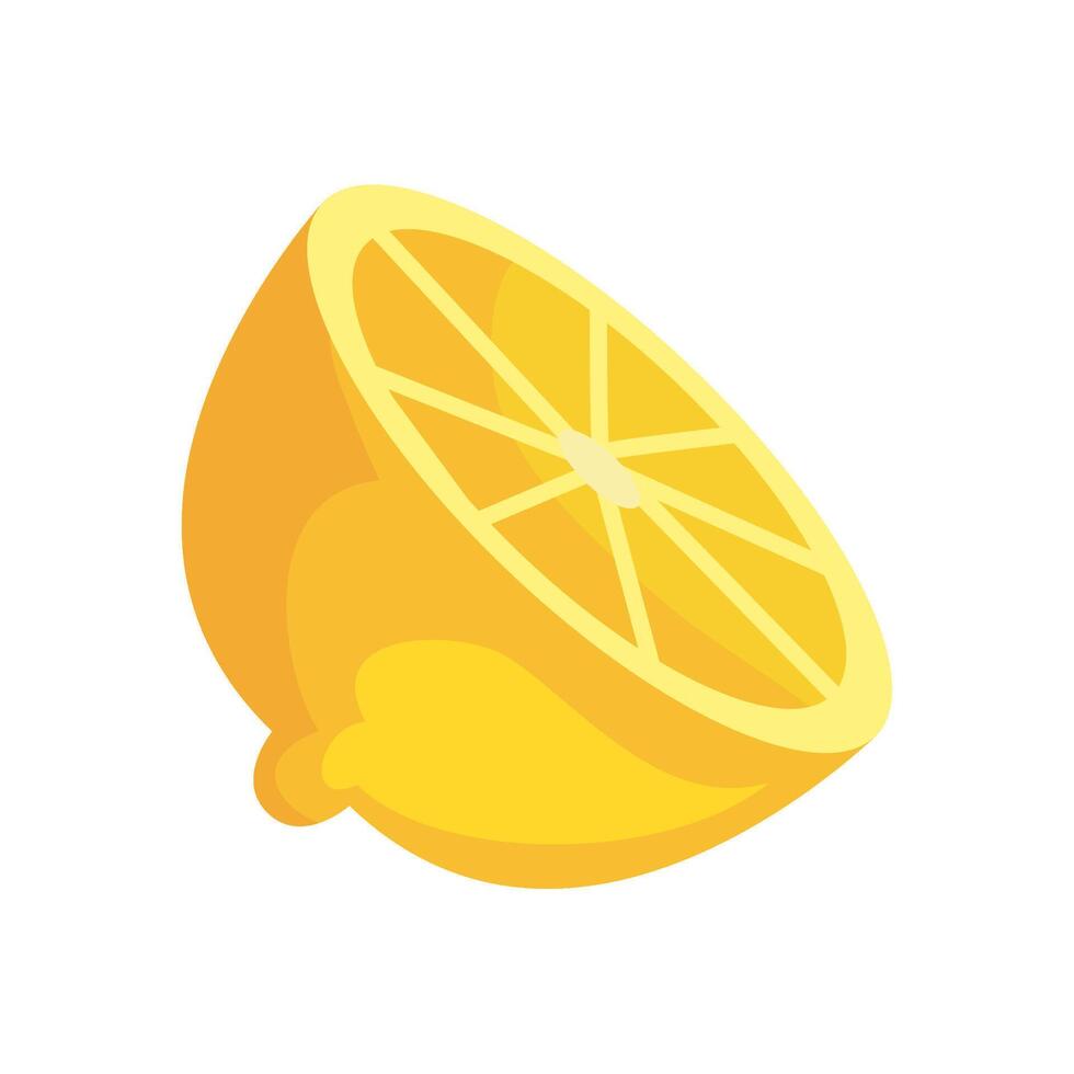 A lemon slice is shown on a white background vector