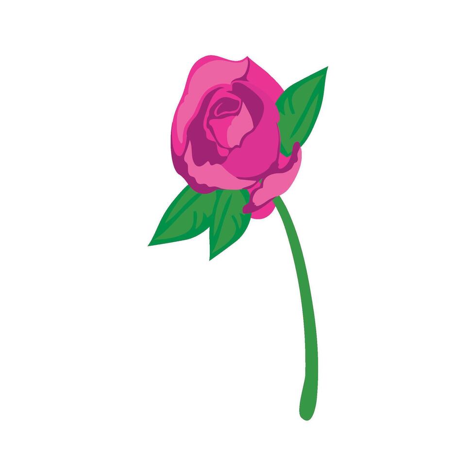 A pink rose with green leaves on a white background vector