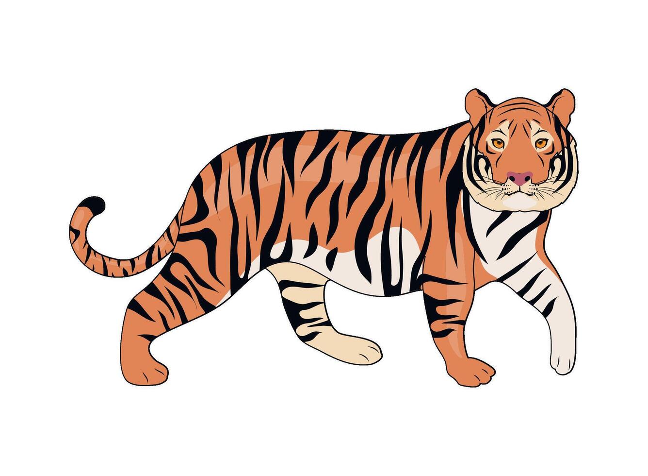 A cartoon tiger walking on a white background vector