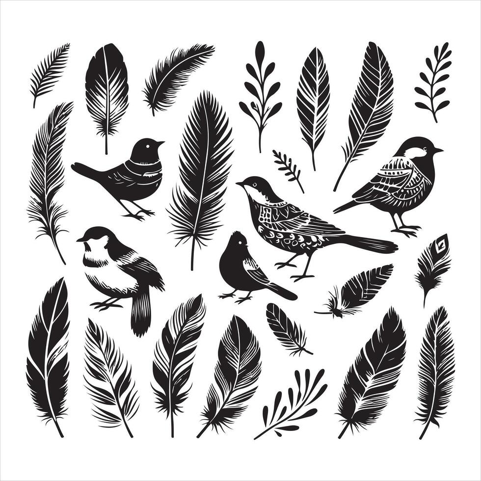 Bird feather, collection silhouette on a white background vector