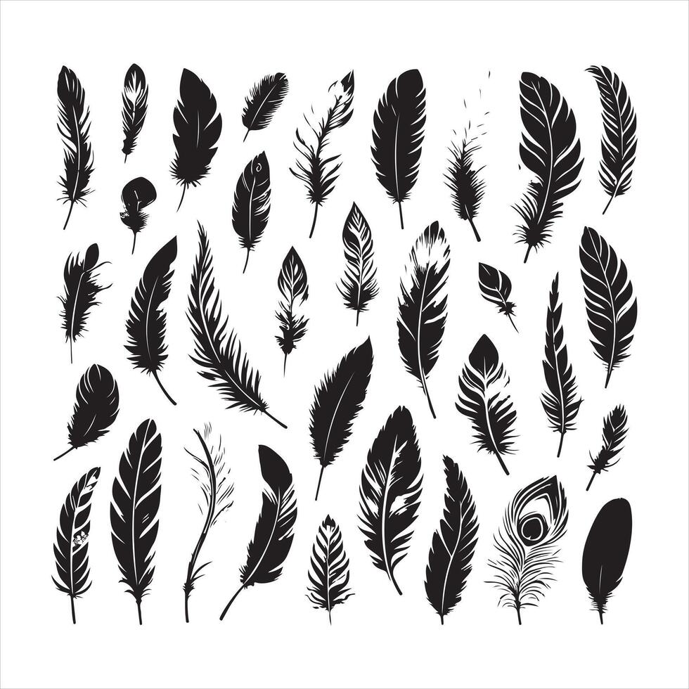 Bird feather, collection silhouette on a white background vector
