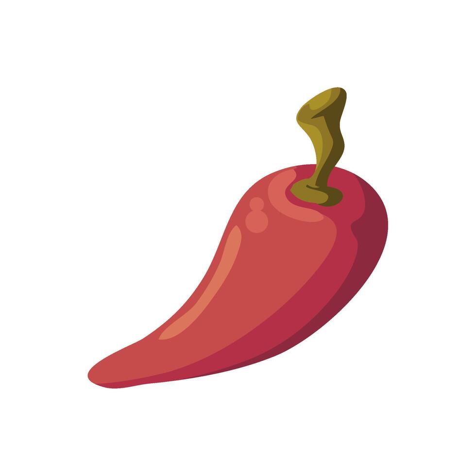 Red chili pepper illustration isolated on white background vector