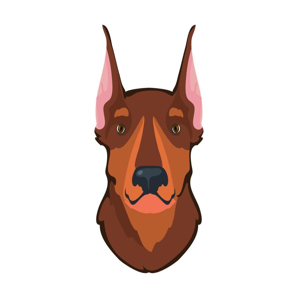 A doberman dog head on a white background vector