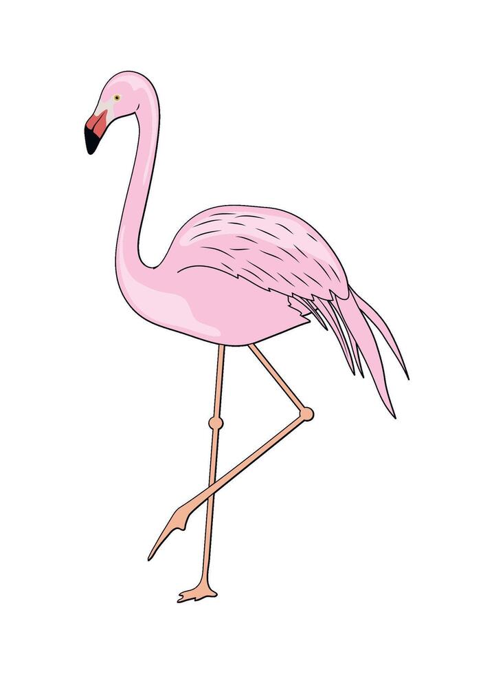 A cartoon flamingo standing on one leg vector