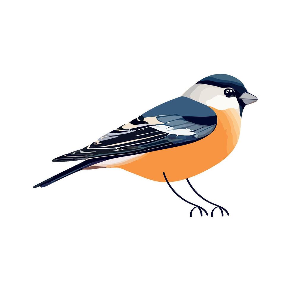 A bird with orange and black feathers on a white background vector
