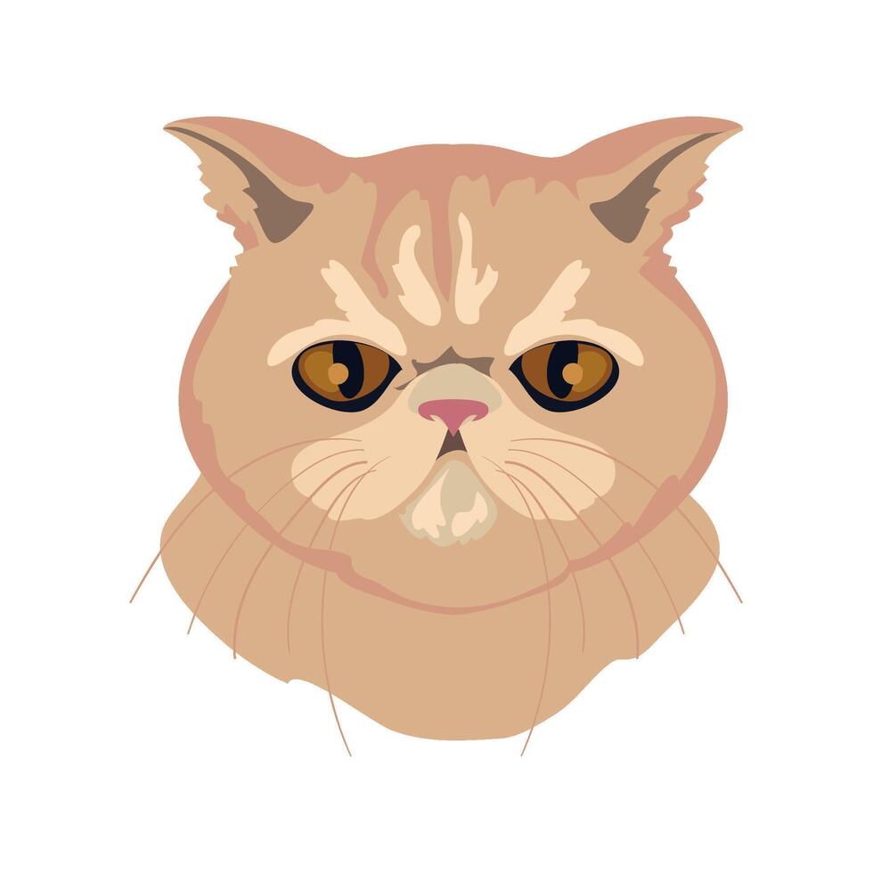 A cat with big eyes and a big nose vector