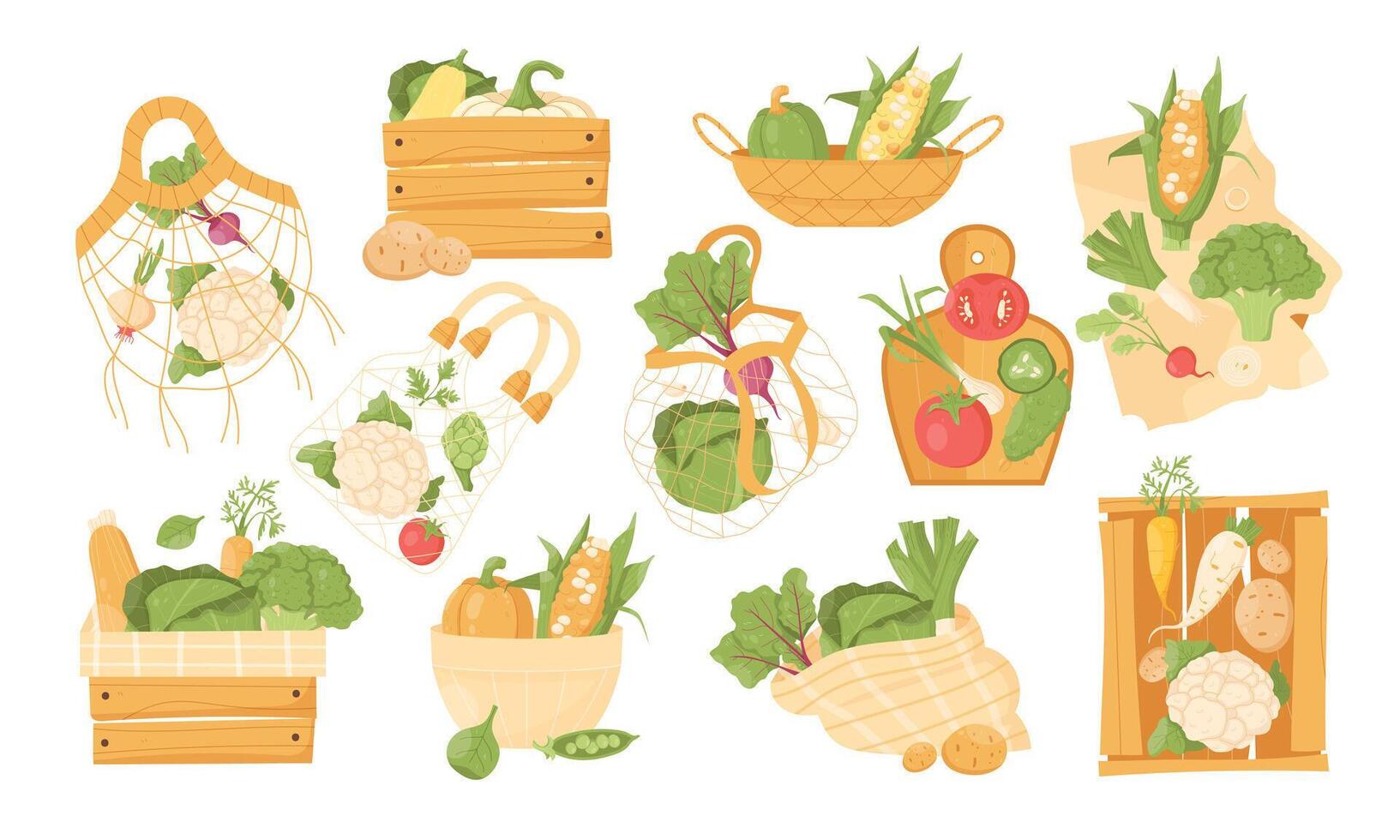 11 illustrations of vegetables in a package. Healthy food vector