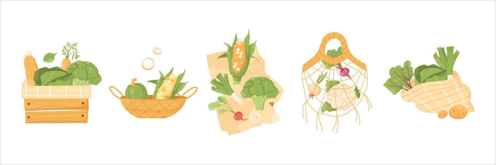 set of vegetables in carob, bags, boxes vector