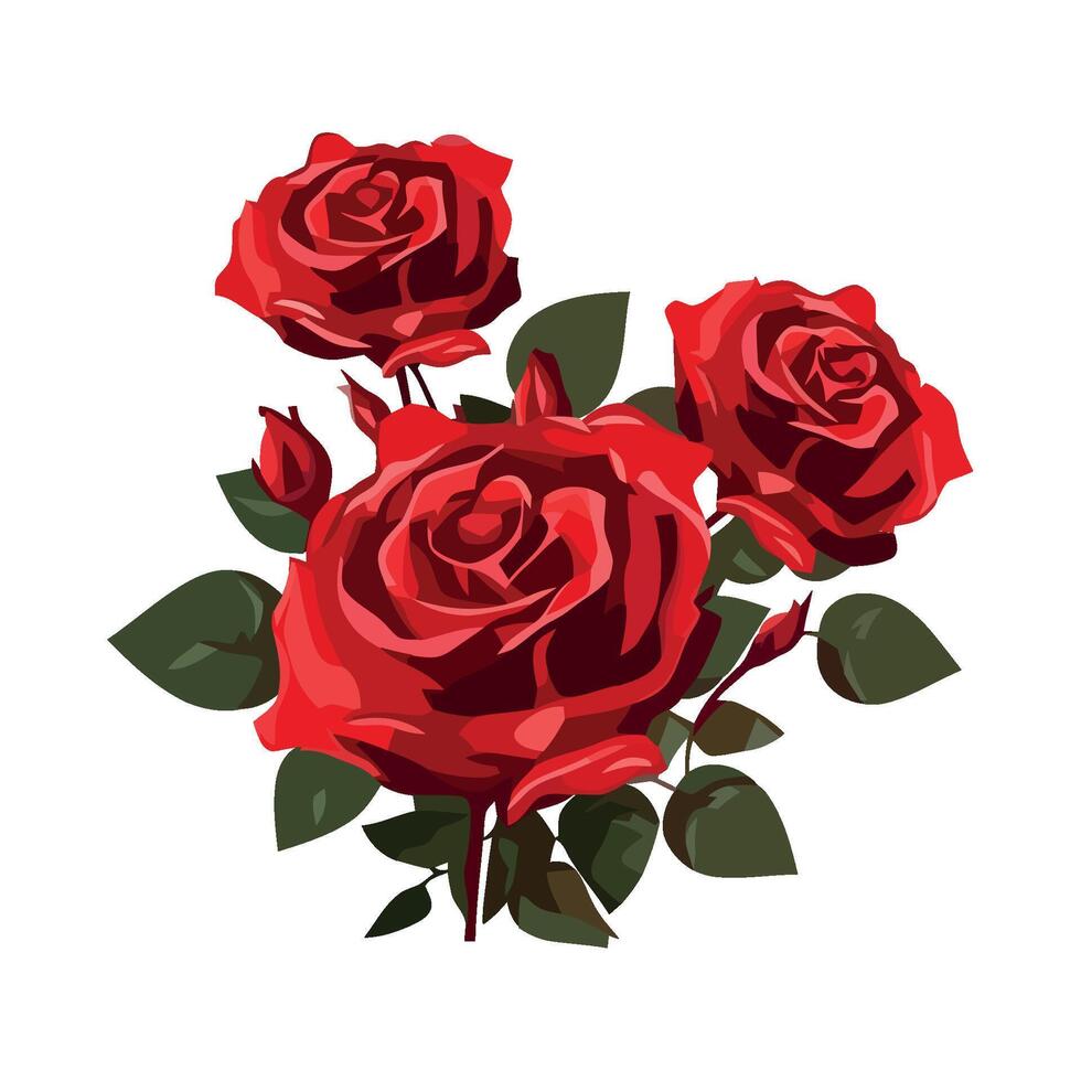 Red roses on white background vector