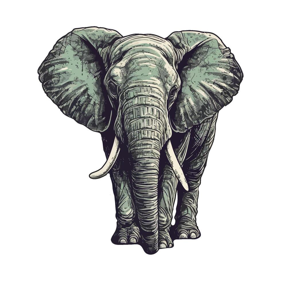 An elephant is standing in front of a white background vector