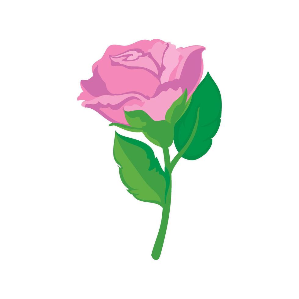 A pink rose with green leaves on a white background vector