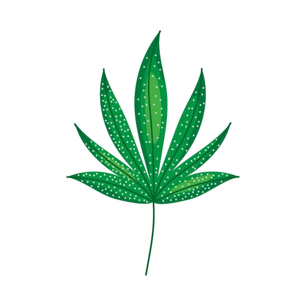 A marijuana leaf on a white background vector