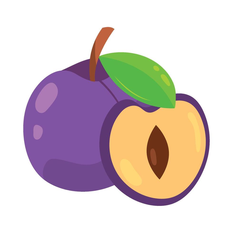Plum fruit illustration vector