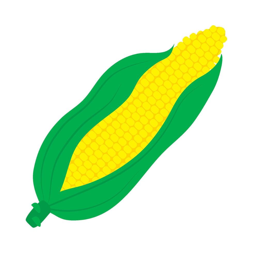 Corn on the cob illustration vector