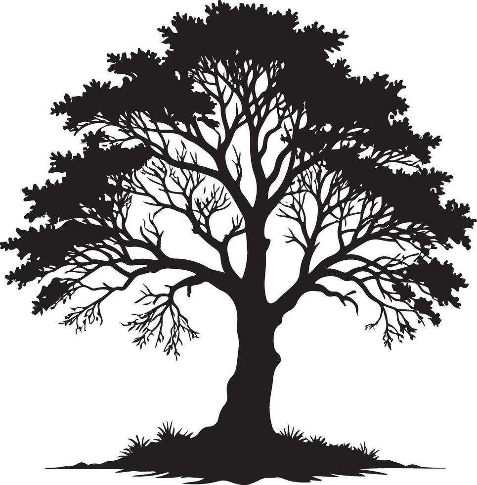 A tree silhouette, black color silhouette isolated white background vector