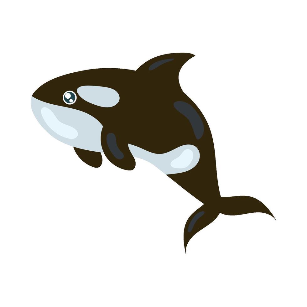 Killer whale cartoon illustration vector
