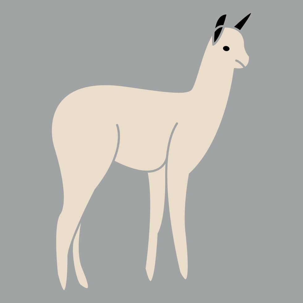 illustration of a llama on a white background vector