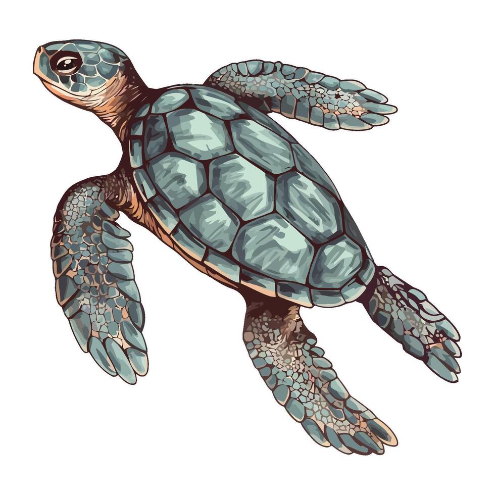 Sea turtle illustration vector