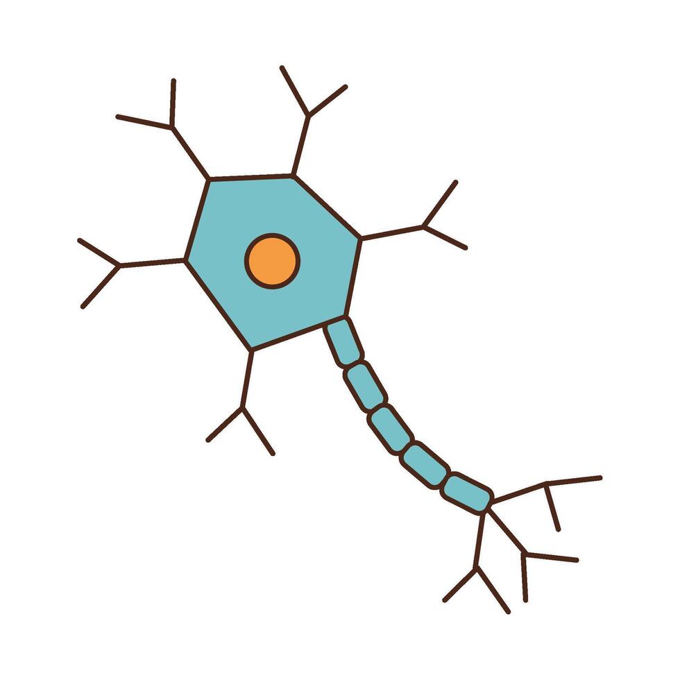 A neuron with a blue and orange center vector