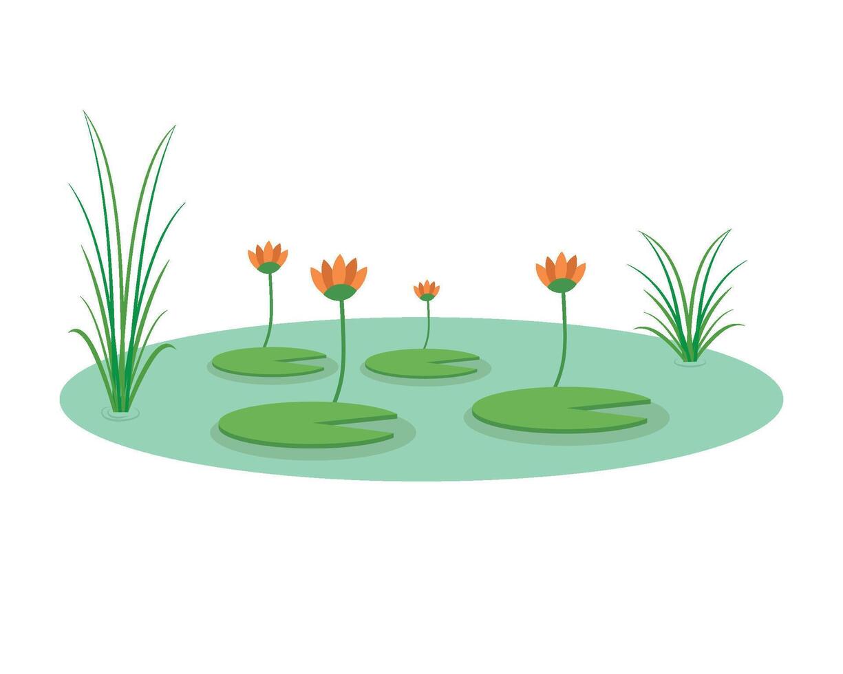illustration of water lily flowers in a pond vector