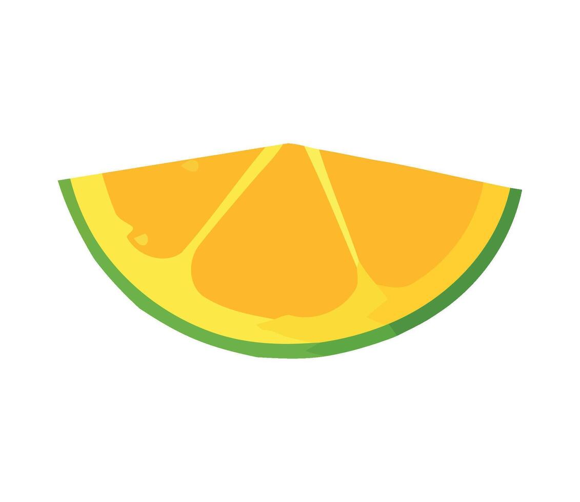 Orange slice illustration vector