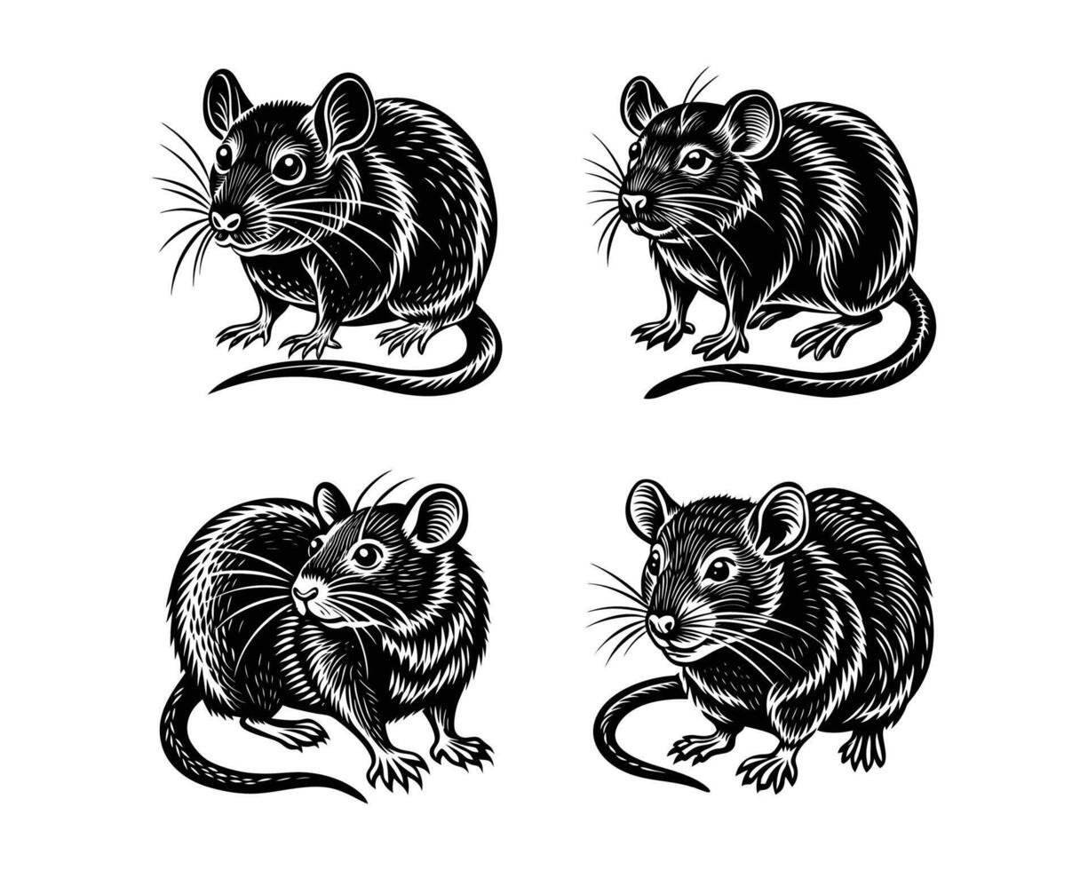 Set of black rat silhouettes. ai vector