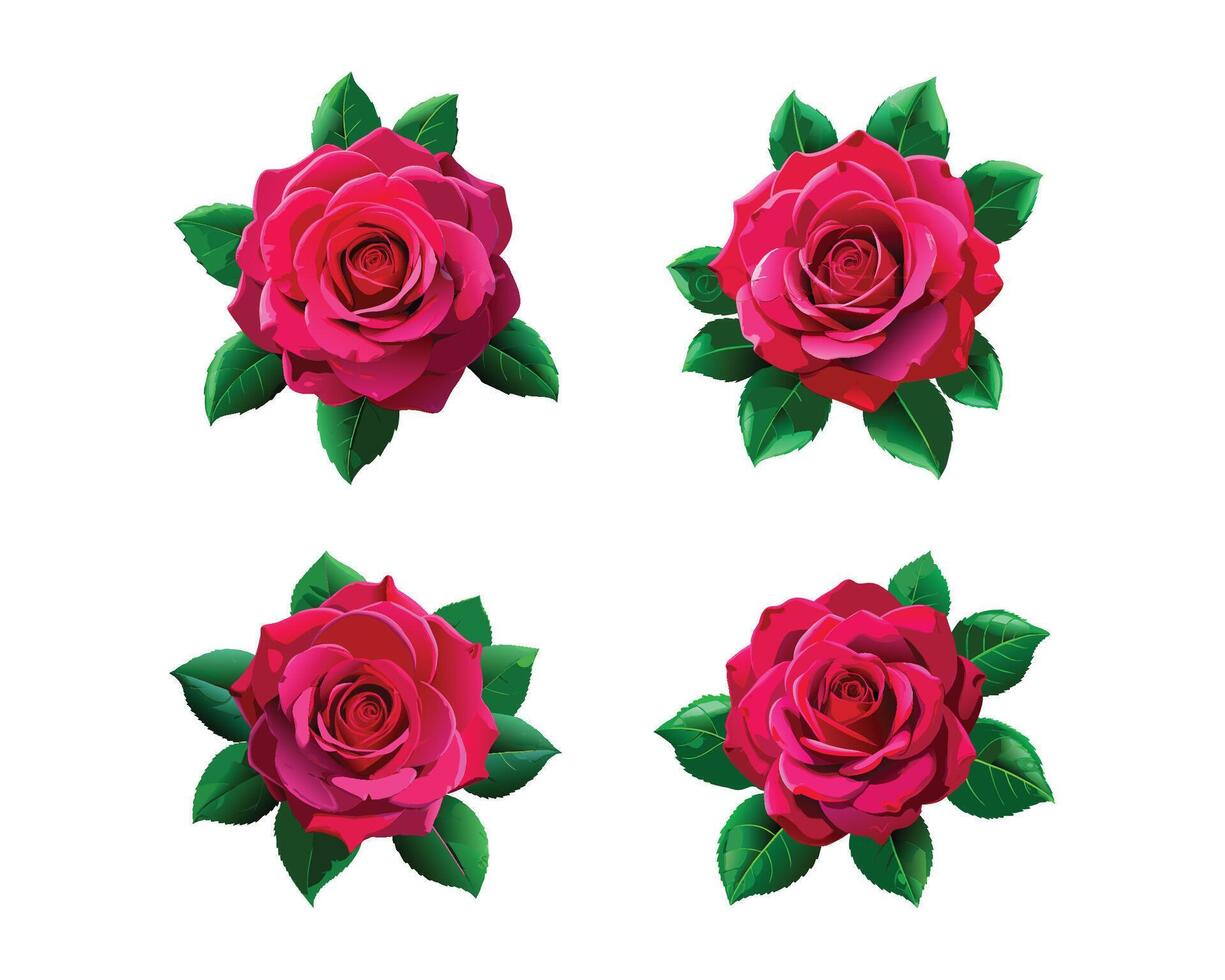 set of colourful rose flower. ai vector