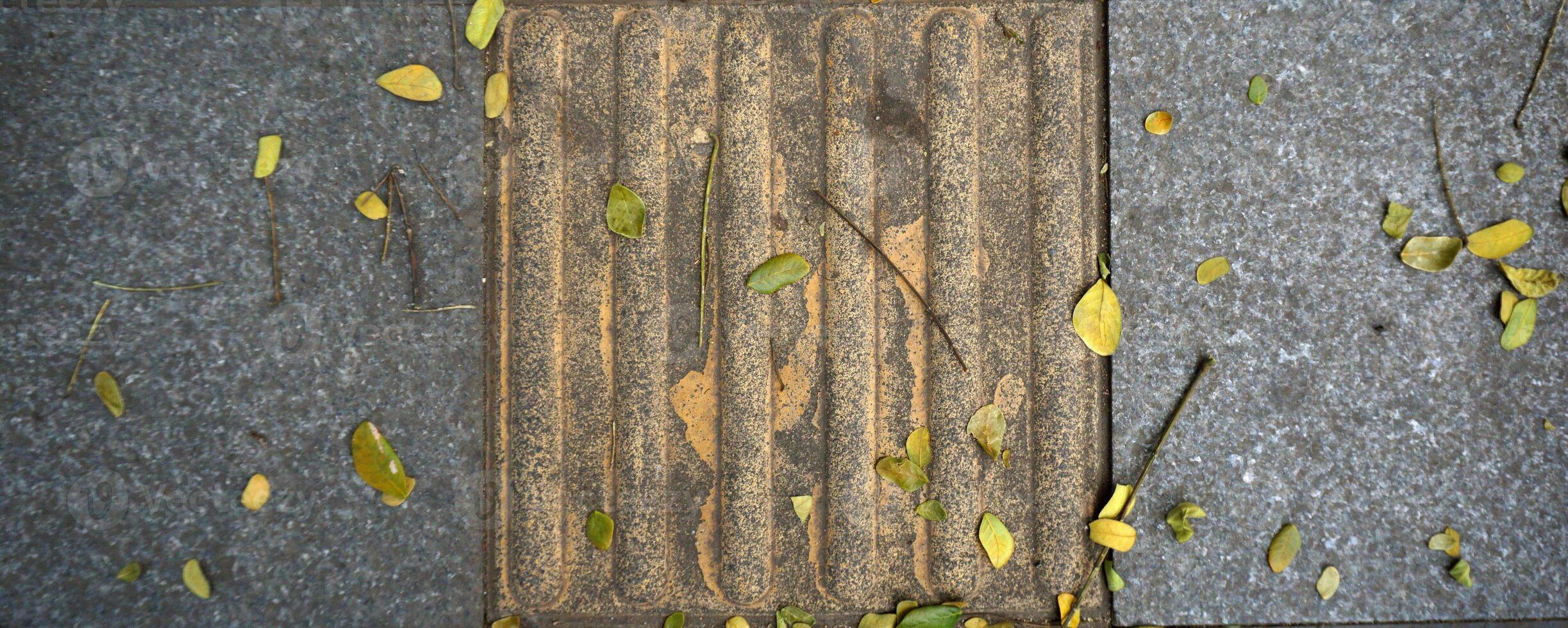 Fallen leaves on the paving floor in the garden. Autumn concept. photo