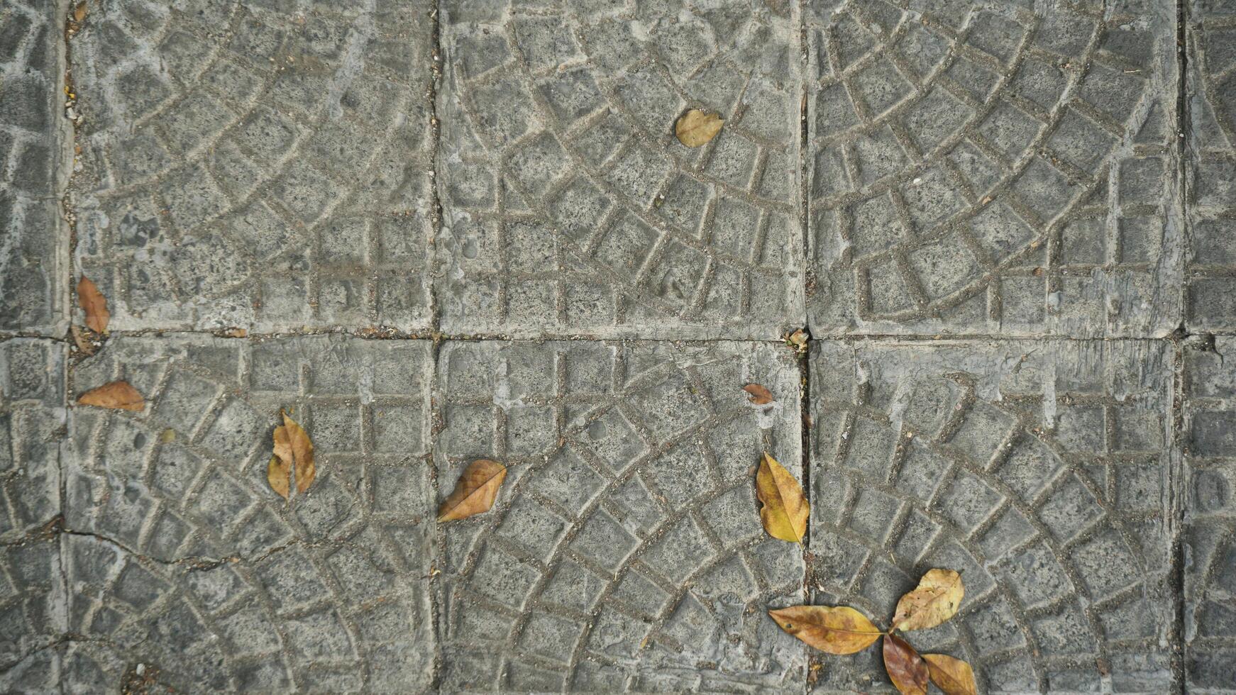Stone floor texture background with autumn leaves, close up of stone floor. photo